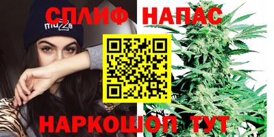 прущая мука Будённовск