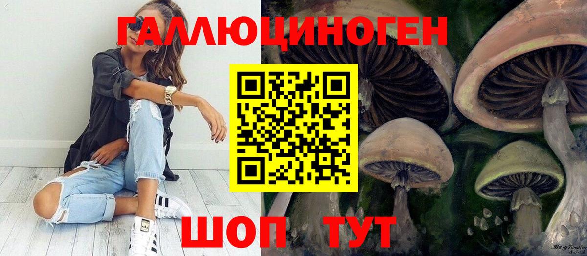 Псилоцибиновые грибы GOLDEN TEACHER Аксай